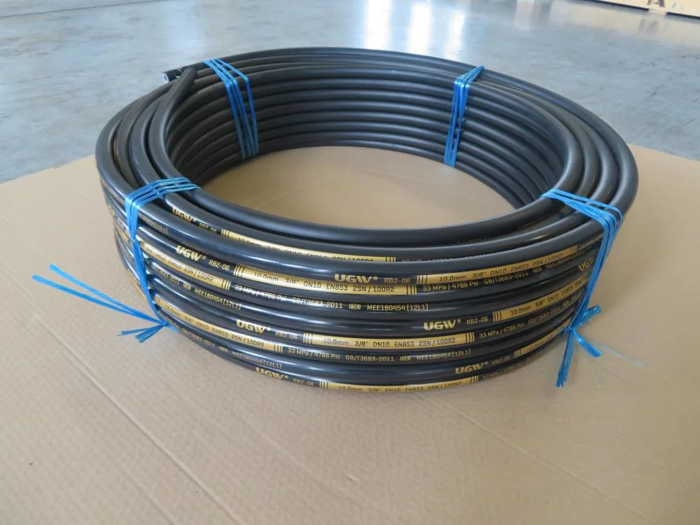 Hydraulic Hose DIN En853 1sn / SAE 100r1at One Steel Wire Braided