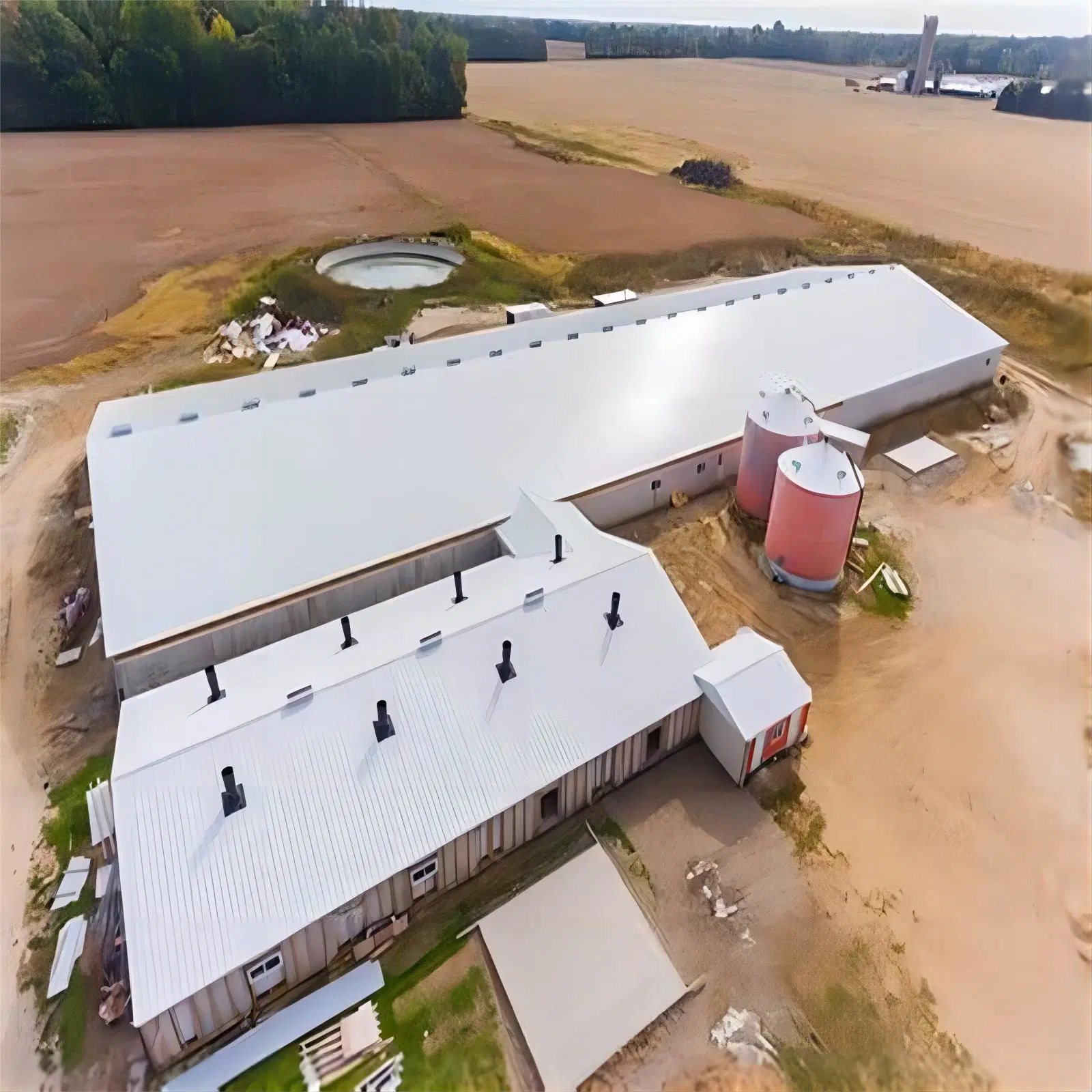 Günstige Vorgefertigte Pre Engineering Stahl Struktur Chicken Farm Geflügel Haus