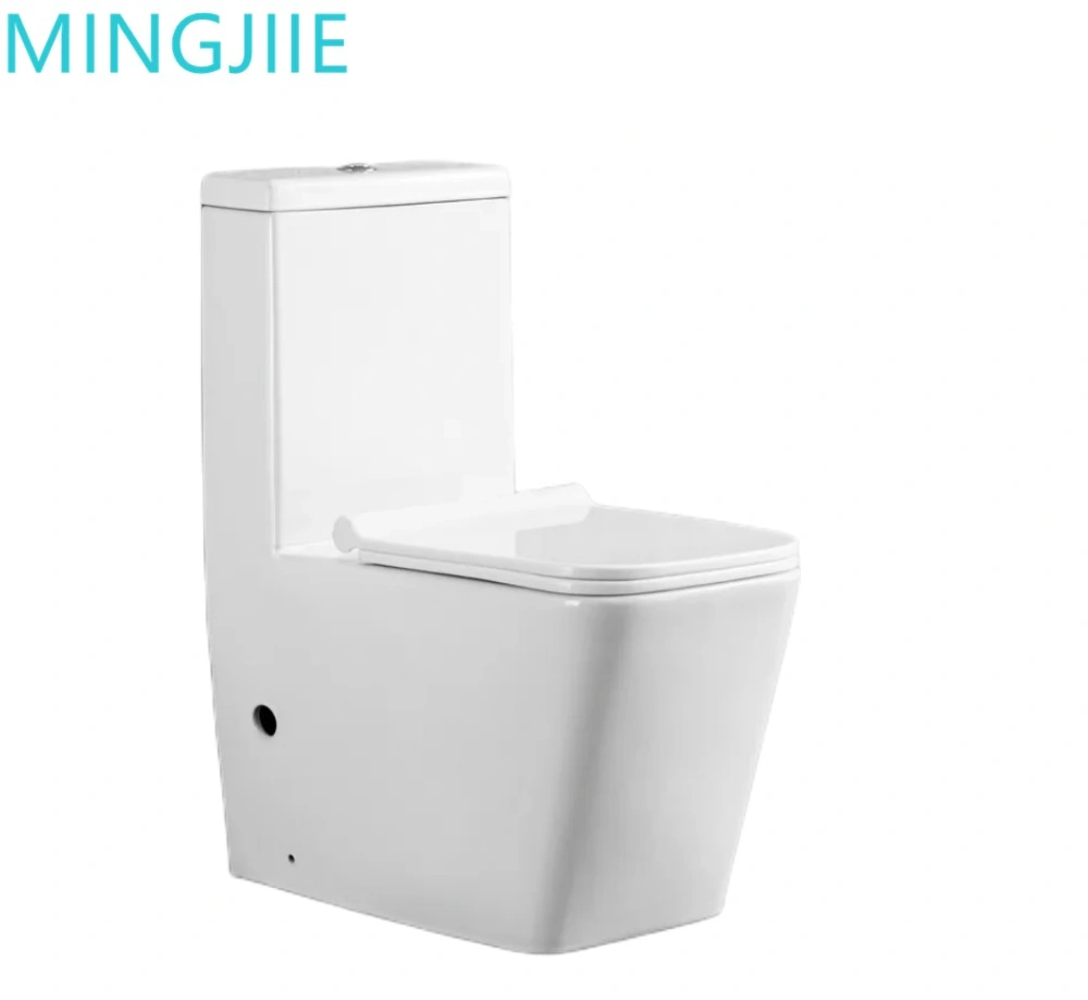 European Style Sanitary Ware Wc Toilets Modern Design Washdown One-Piece Ceramic Toilet