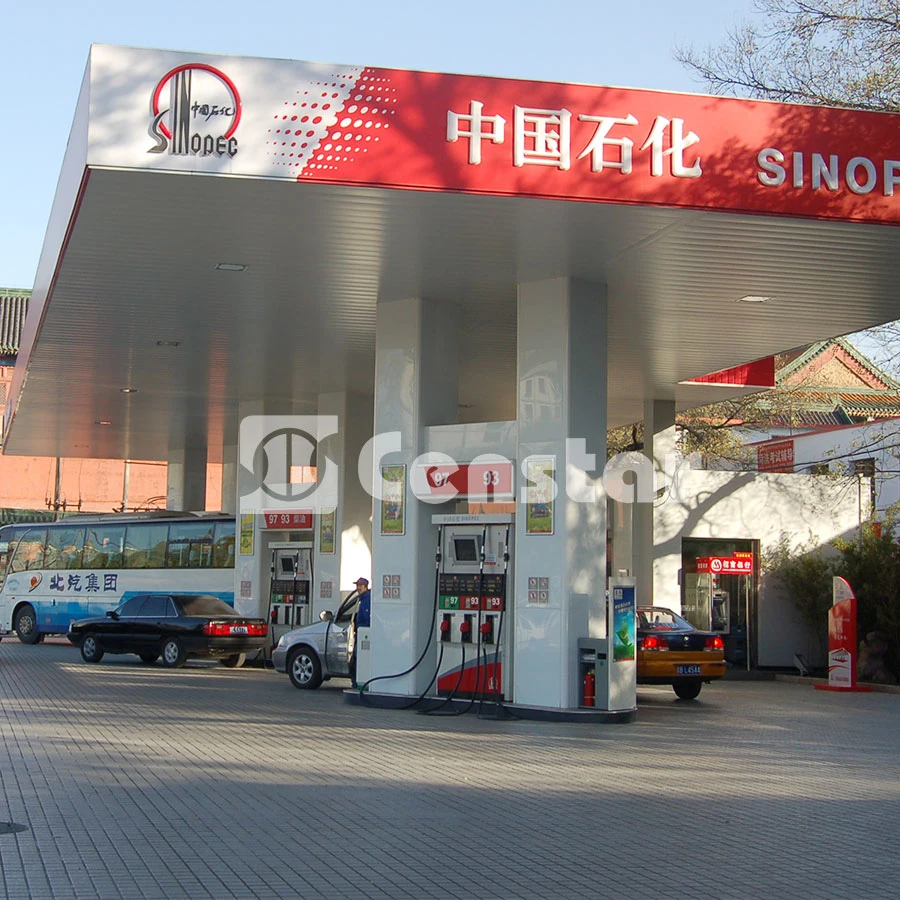 6 Nozzles Petrol Station Fuel Dispenser for Sale