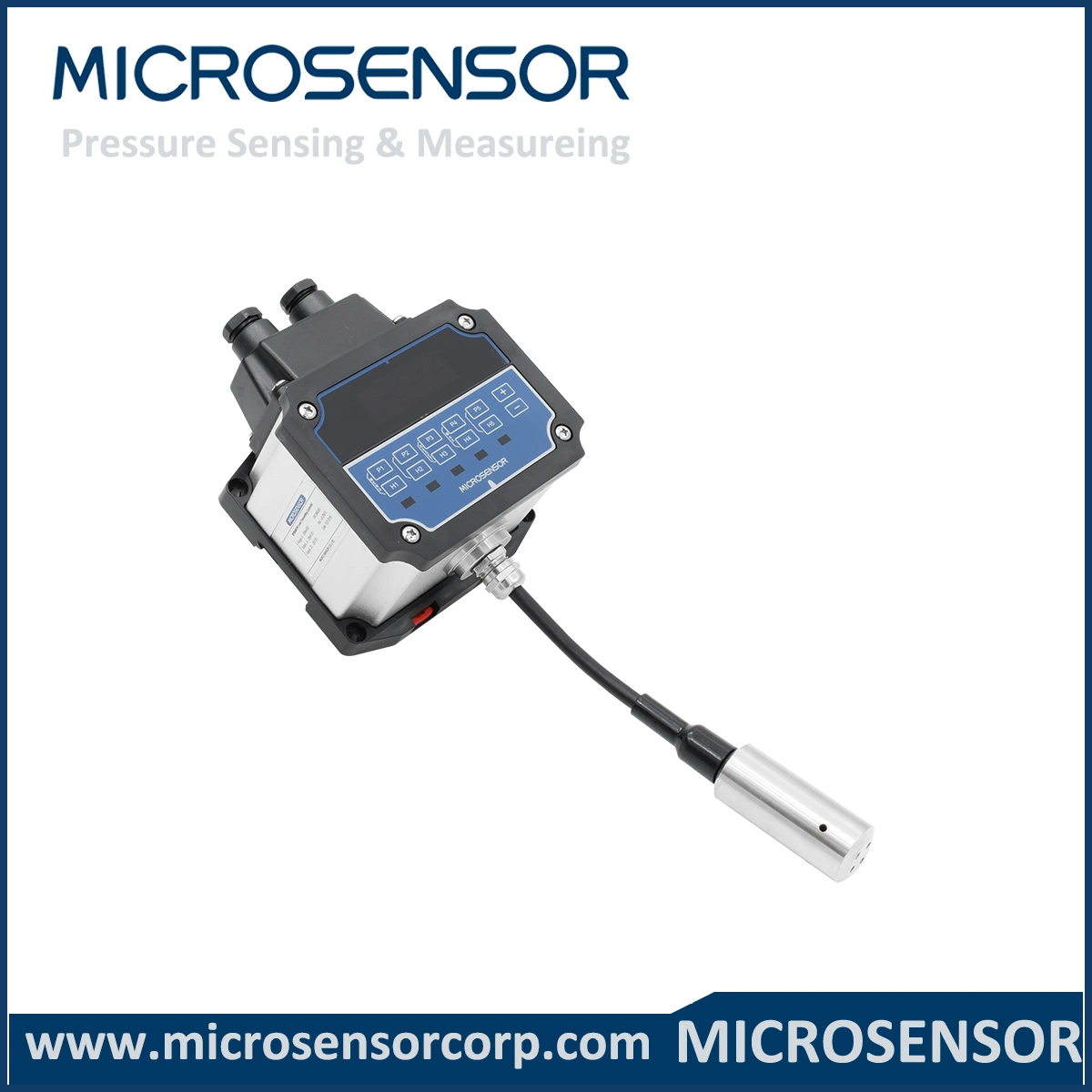 MicroSensor MPM4881W Digital LED Display 200m Intelligent Customized Level Transmitter Controller