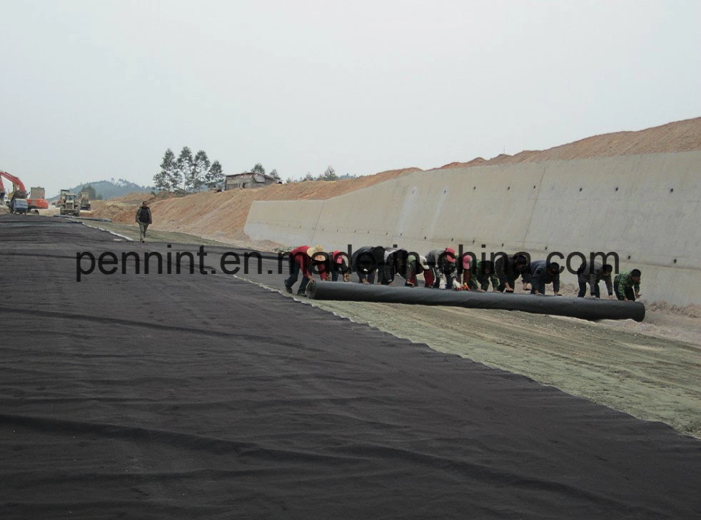 High Strength Non Woven Geo-Textile for Highway /Drainage System Construction Materials