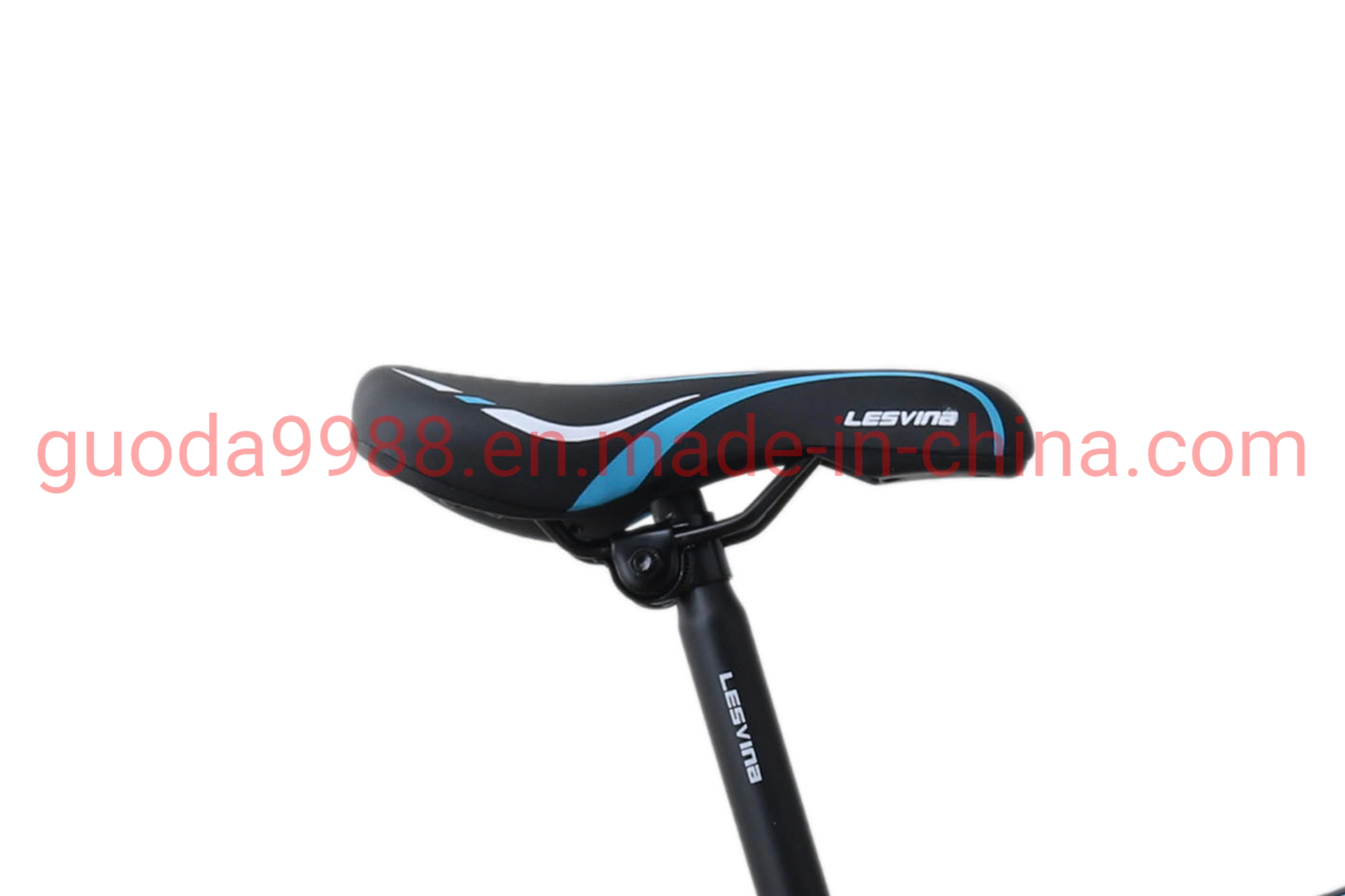 29 Inches 21 Speed Mountaiun Bicycle/Bike with Steel Frame MTB