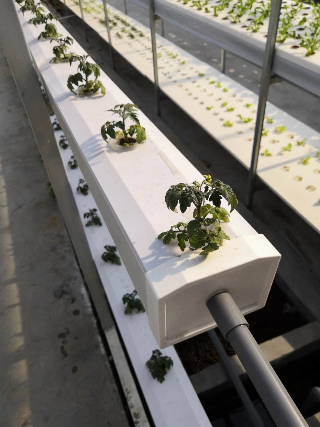 Hydroponic Growing System/ Hydroponic Systems/PVC Nft Channel for Agriculture Greenhouse