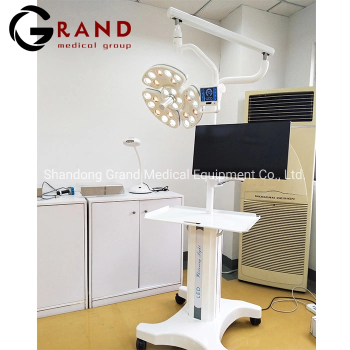 Hospital Equipment Shadowless 26 LED Lens Touchscreen Panel Sensor Dental Implant Surgery Operating/Operation Lamp