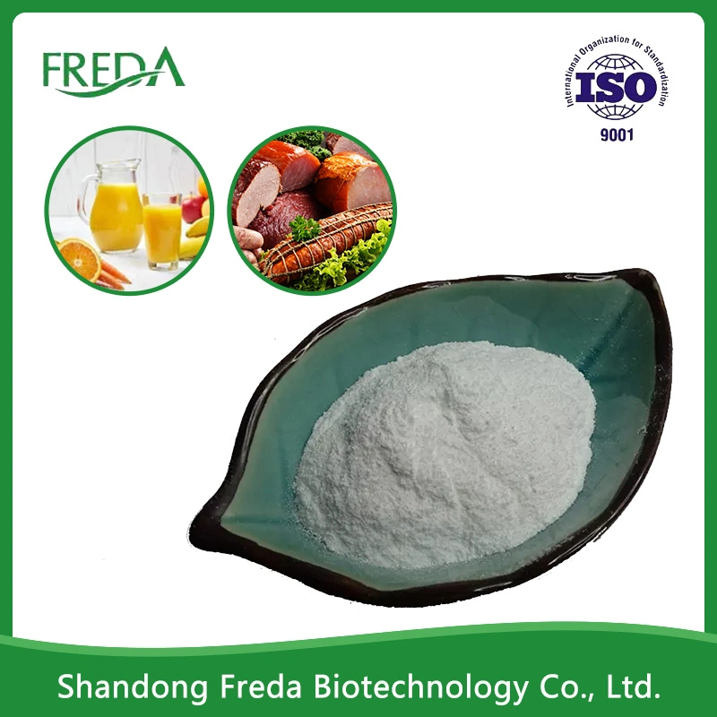 High Quality Food Preservative Natamycin Powder Natamycin 95% Natamycin Food Preservative