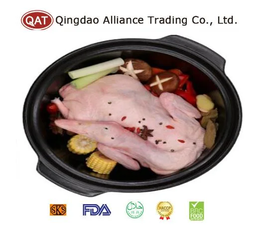 Halal Frozen Duck Meat - Hot Selling