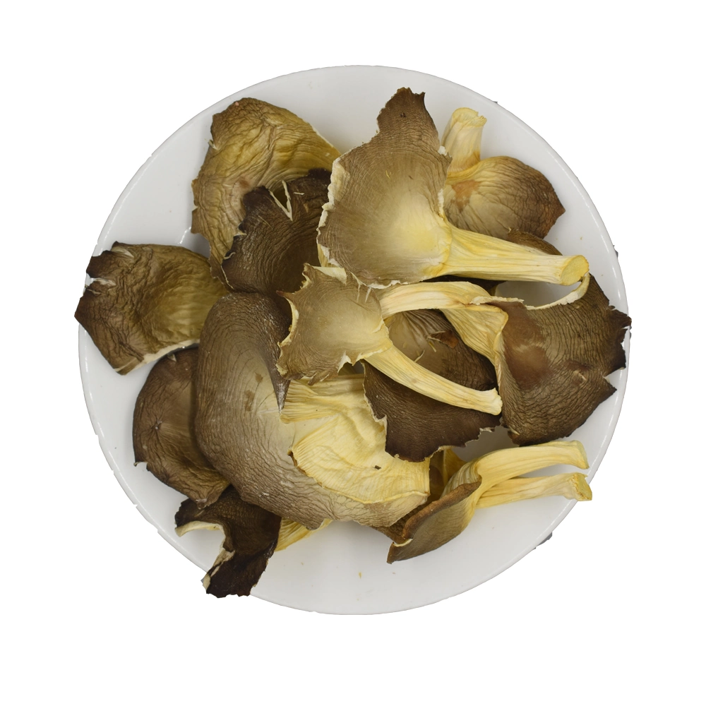 Alimento vegetal Verde Pleurotus Geesteranus Oyster Mushroom
