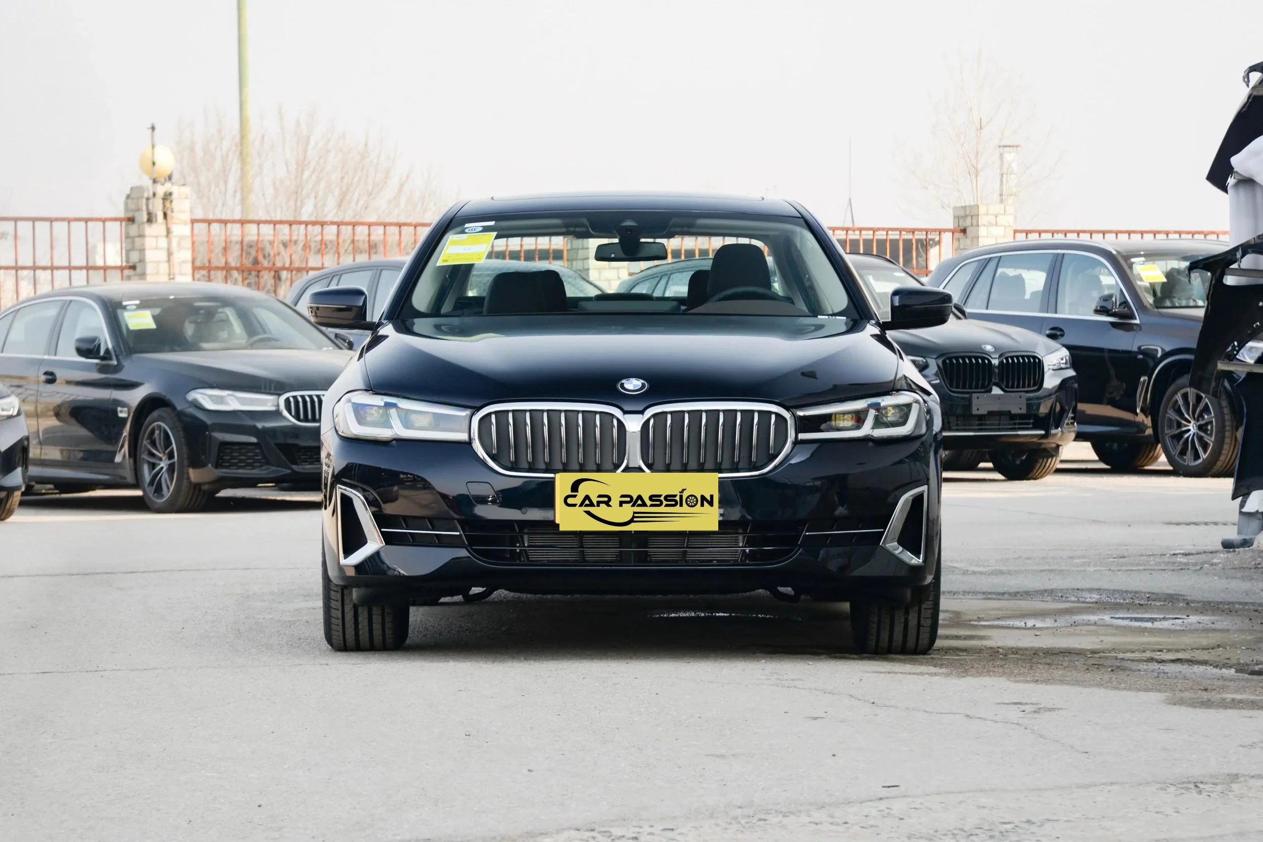 Carpassion BMW 5 серии 2023 530li ведущих M спорта Используется бензин седан автомобиль