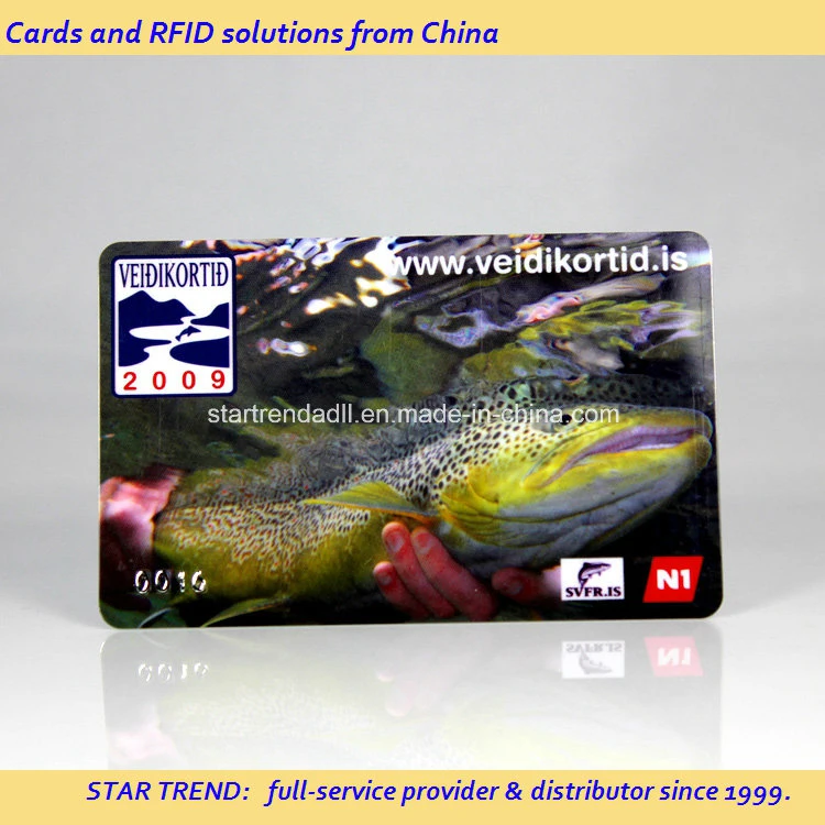 Plastic Membership Gift Cards Made of PVC with Magnetic Stripe