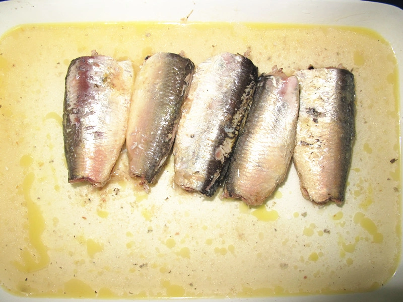 Las conservas de sardina en salmuera 425g de tipos de conservas de pescado