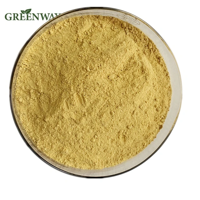 Agricultural/Food/Medicine Grade Animal Feed Additive Health Supplement CAS 59-30-3 (Folic Acid) 98% Powder Vitamin B9 in Bulk