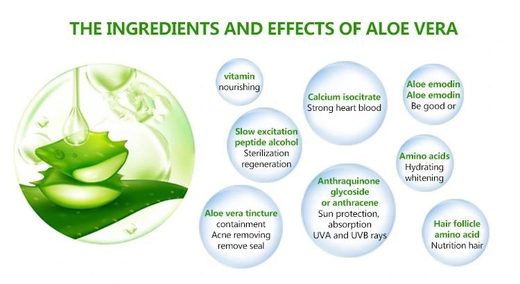 Personlized Products Organic Extract Freeze Dried Aloe Vera Gel Extract Aloin Powder