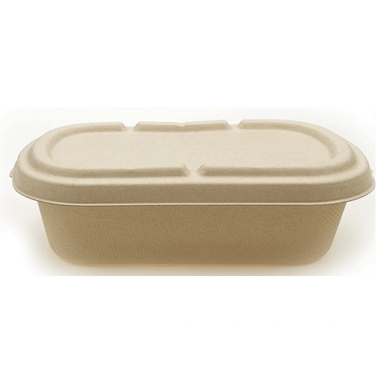 Eco-Friendly Takeaway Bagasse Food Packaging Catering Box Bread Pastry Snacks Cake Cheese Deli Soup Noodles Sushi Lunch Box