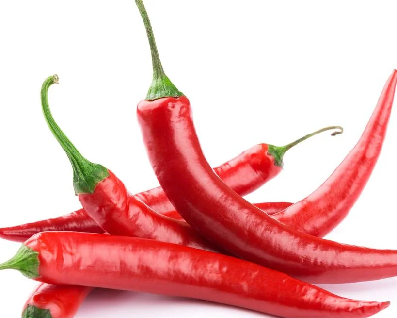 Bienestar mundial Biotech Extracto Natural de Pimiento Rojo con 1-5% 95% Capsaicina 95% Capsaicinoides para suplemento