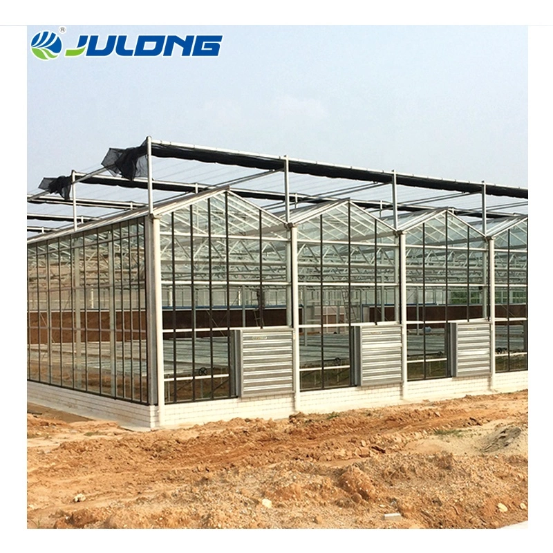 China Modern Agriculture Equipment Venlo Type Glass Greenhouse for Farming