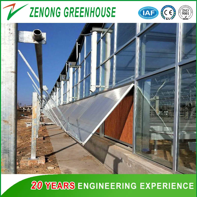 Agriculture Smart Glass Greenhouse with Shading/Cooling/Ventilation/Irrigation System