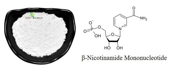 Suministro de la fábrica de envejecimiento Suplementos Nmn anti polvo en un 99% Nmn OEM