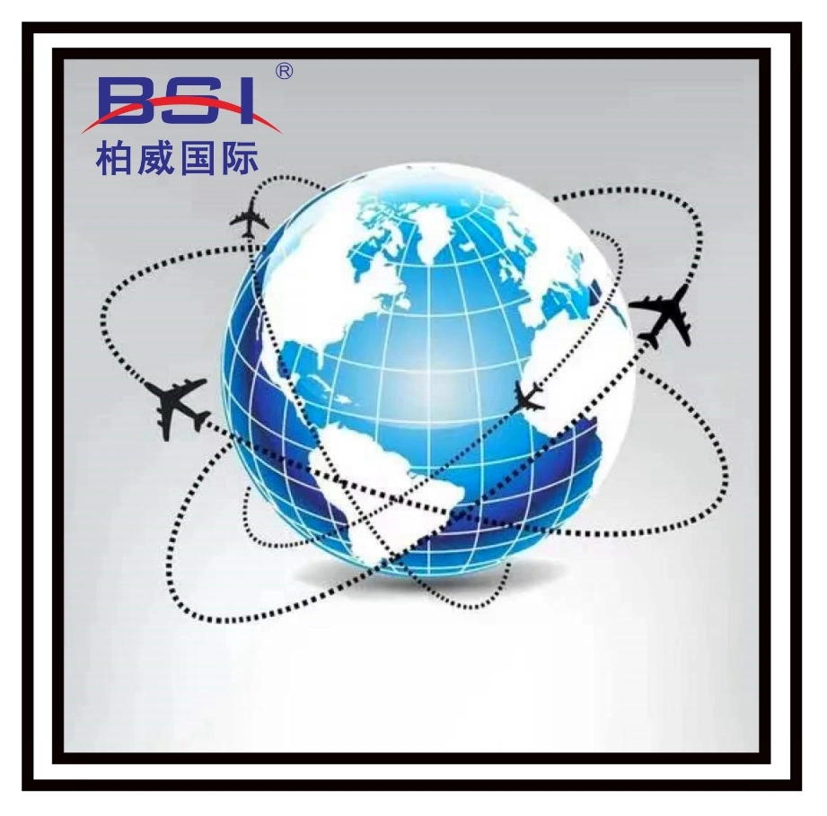 The World's Top Freight Logistics Company From China to Milan, Italy