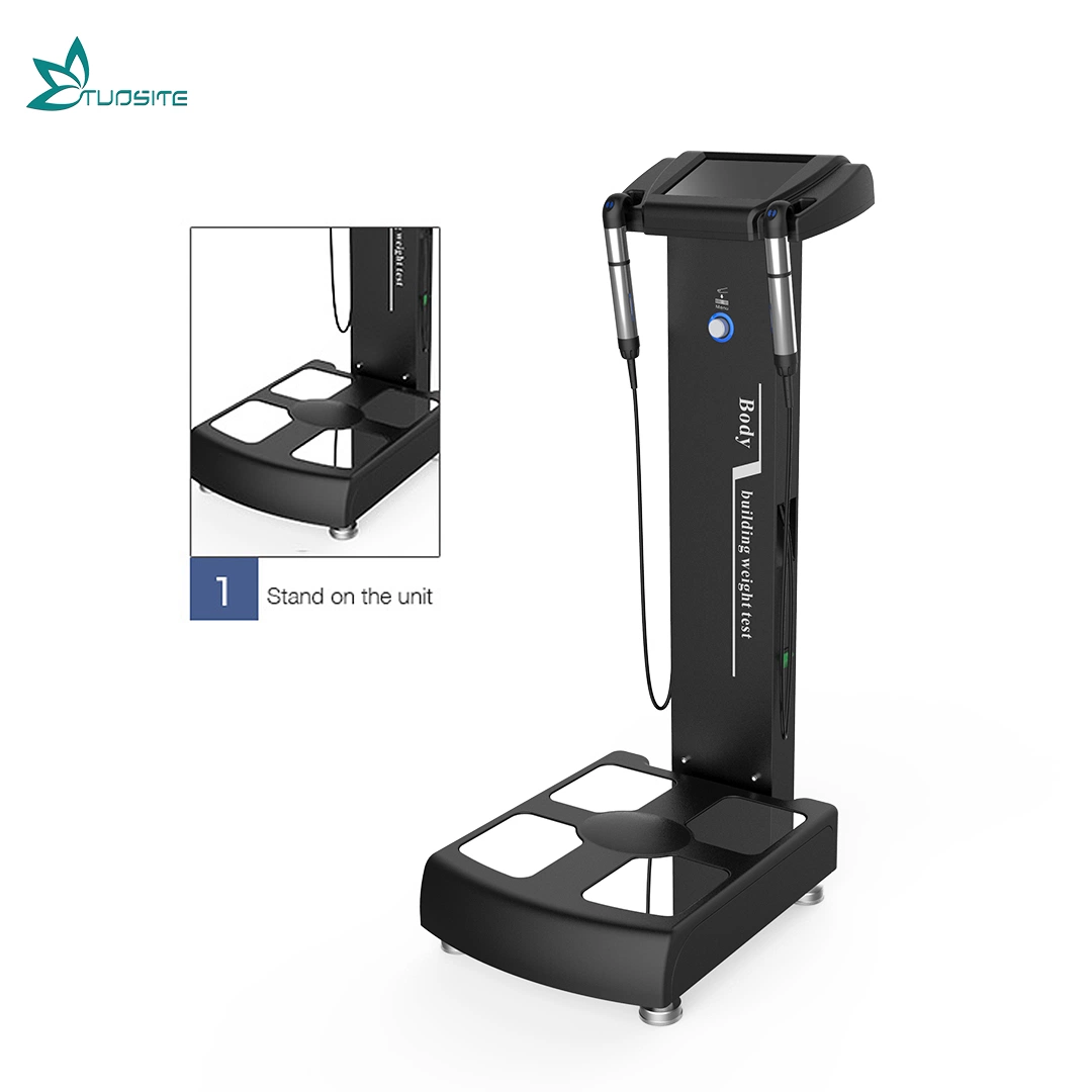 Beauty Salon Equipment for Professional Body Composition Analyzer