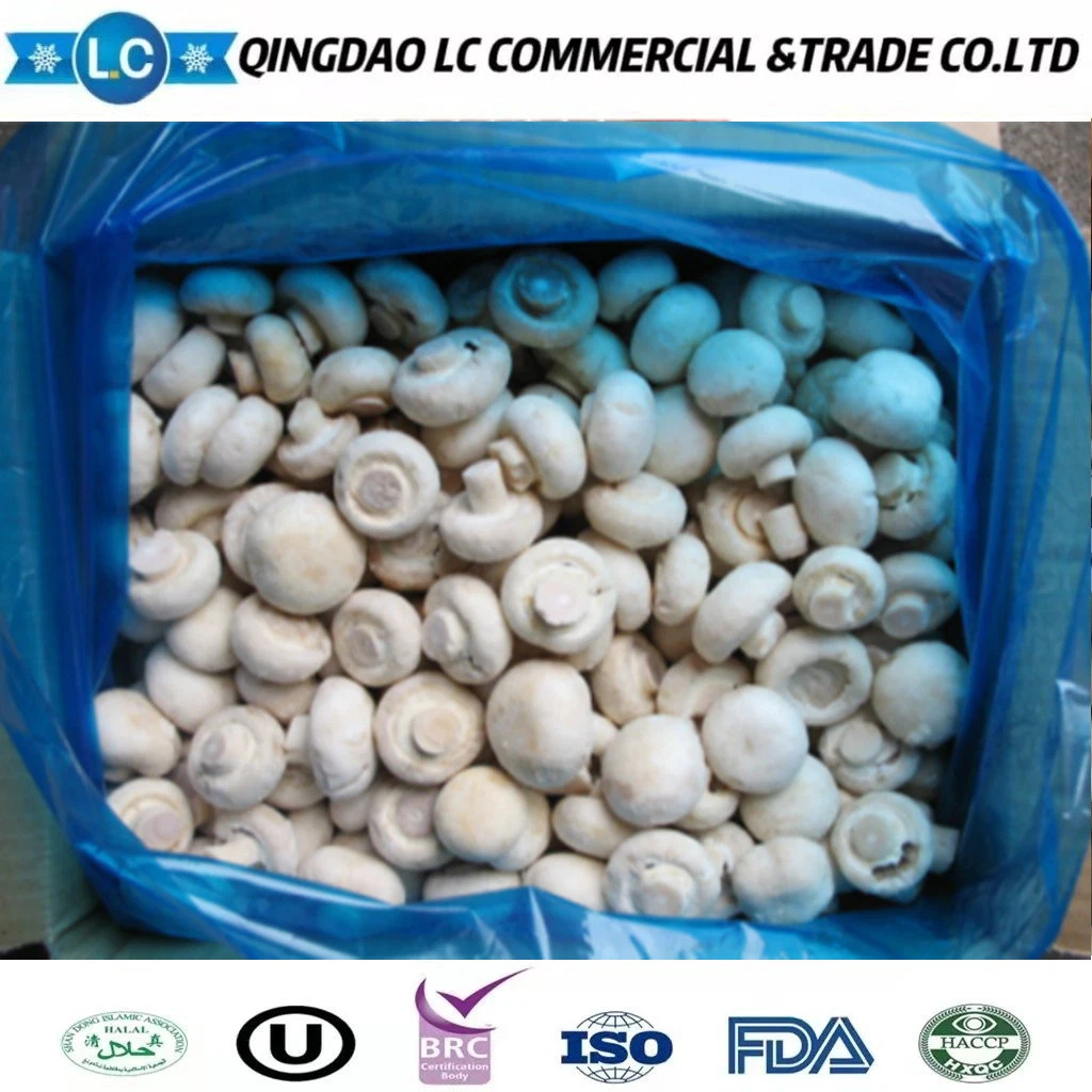 Best Price IQF Frozen Champignon / White Mushroom