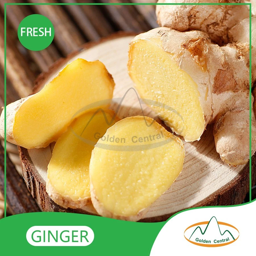 Excellent Quality Fresh Ginger Root Market Price