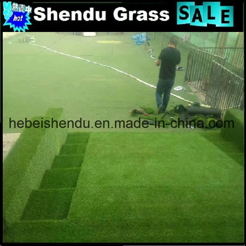 Cheap China Hebei 25mm India Floor Artificial Lawn Synthetic Green Grass Carpet with Good Backing