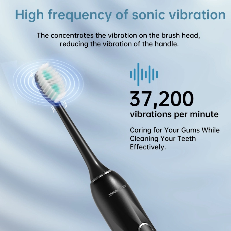 Personalized High quality/High cost performance  Five Gears Teeth Whitening Sonic Electric Toothbrush with LED Light