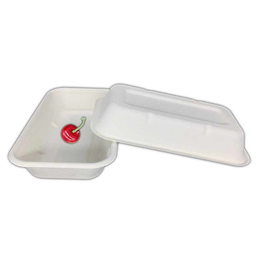 Ensalada de verificación rectangular de bagazo de caña de azúcar desechables para Sushi Bandeja de papel de pasta 750 ml