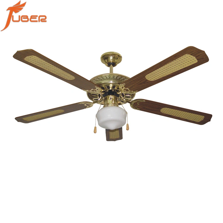 Modern Fancy Design Decorative Lighting Ceiling Fan with Light