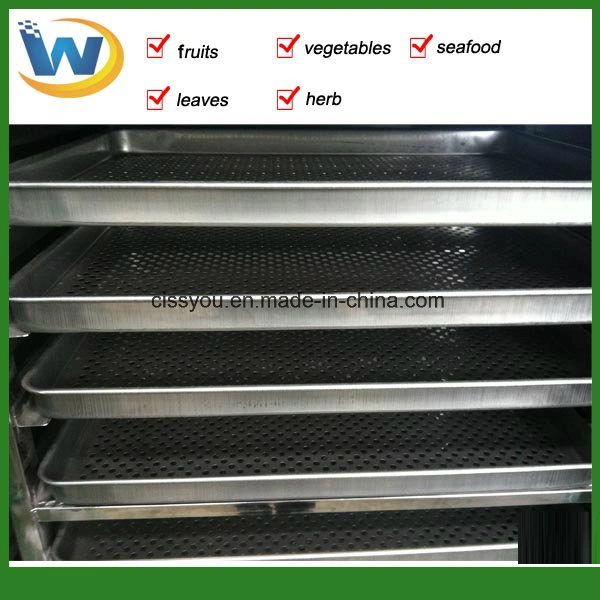 China Vegetable Fruit Fish Sea Food Drying Dryer Machine