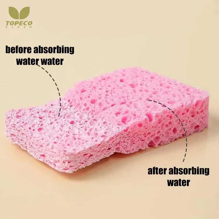 Topeco Amazon Hot Selling Natural Wood Pulp Sponge