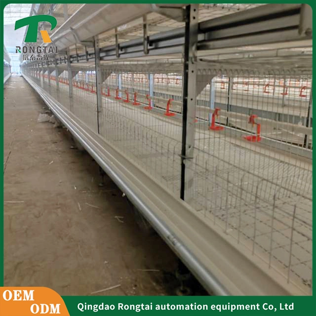 Automatic Incubator and Hatcher Poultry Equipment of Egg Layer Chicken Cage Farming Automatic