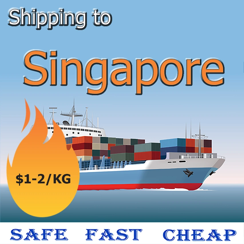 Servicio de envío de carga de mar de Transportista de carga de China a Singapur