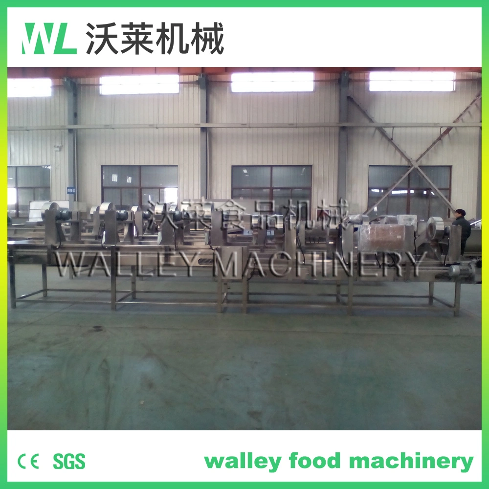 Factory Price Dewatering Equipment for Minimally Process Vegetables and Fruits