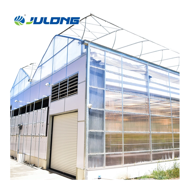 High quality/High cost performance  Agricultural Commercial Multi Span Polycarbonate Greenhouse with Nice Price