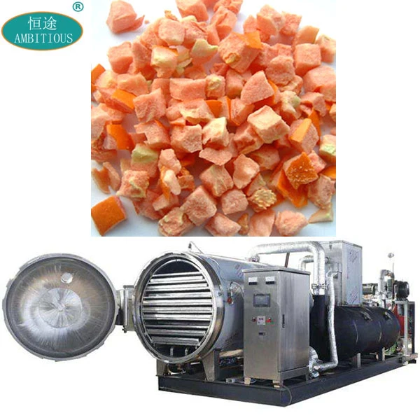 Lyophilizer Drying Machinery Commercial Industrial Fruit Freeze Dryer