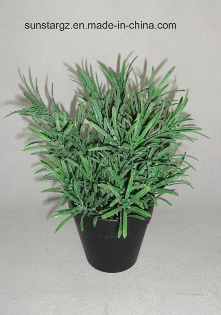 Artificial Plant Podocarpus Bonsai with Pot for Decoration with SGS Certificate (49641)