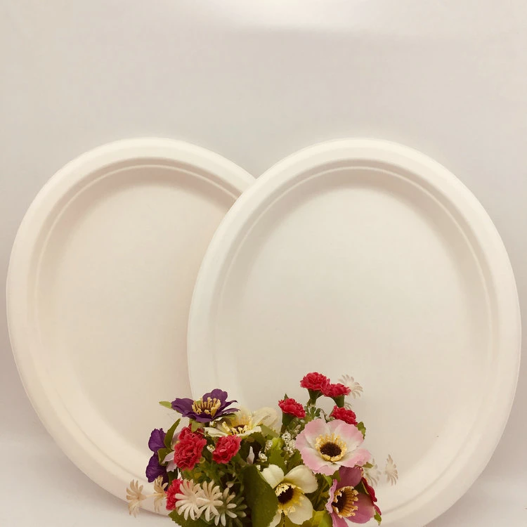 Hot Selling Sugarcane Bagasse Plates Medium Oval Plate