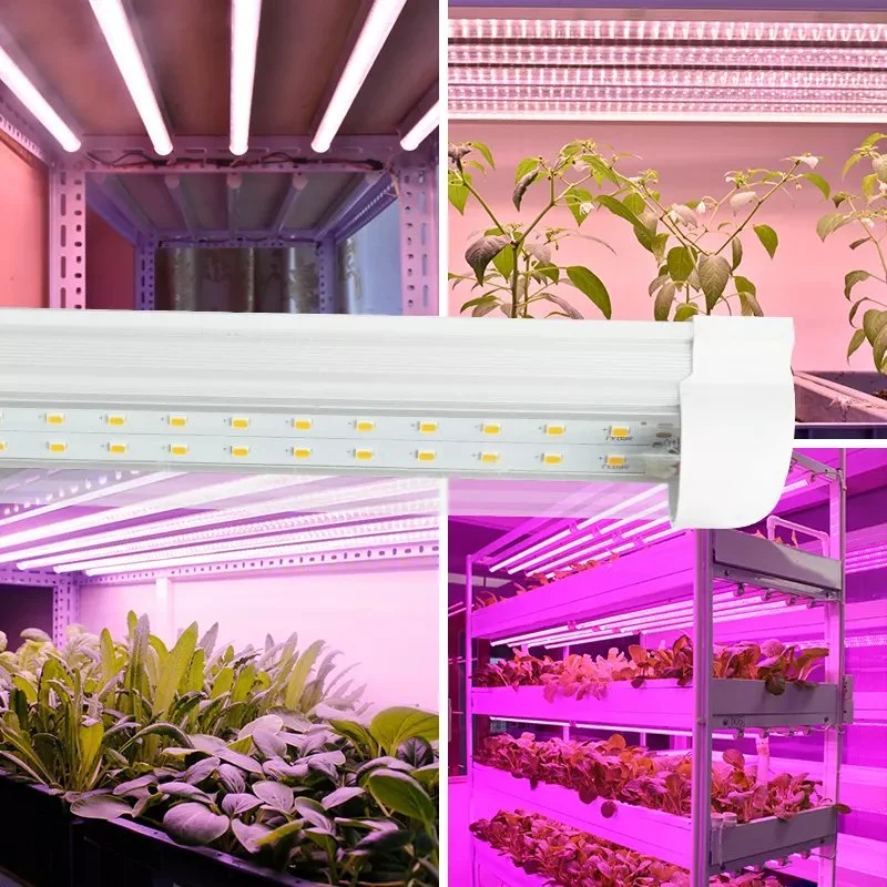 The Quality of Greenhouse Plant Growth Lamp Is Reliable, and The Supplementary Light for Agricultural Planting Can Be Intelligently Controlled