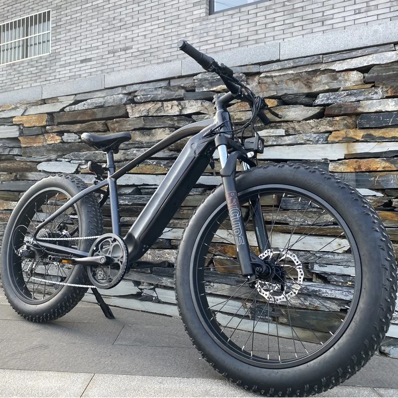 Amazon Top Selling 750W Powerful Fat Tire Electric Bike