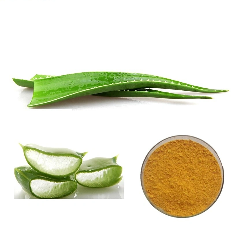 Aloe Vera Extract Powder 200: 1