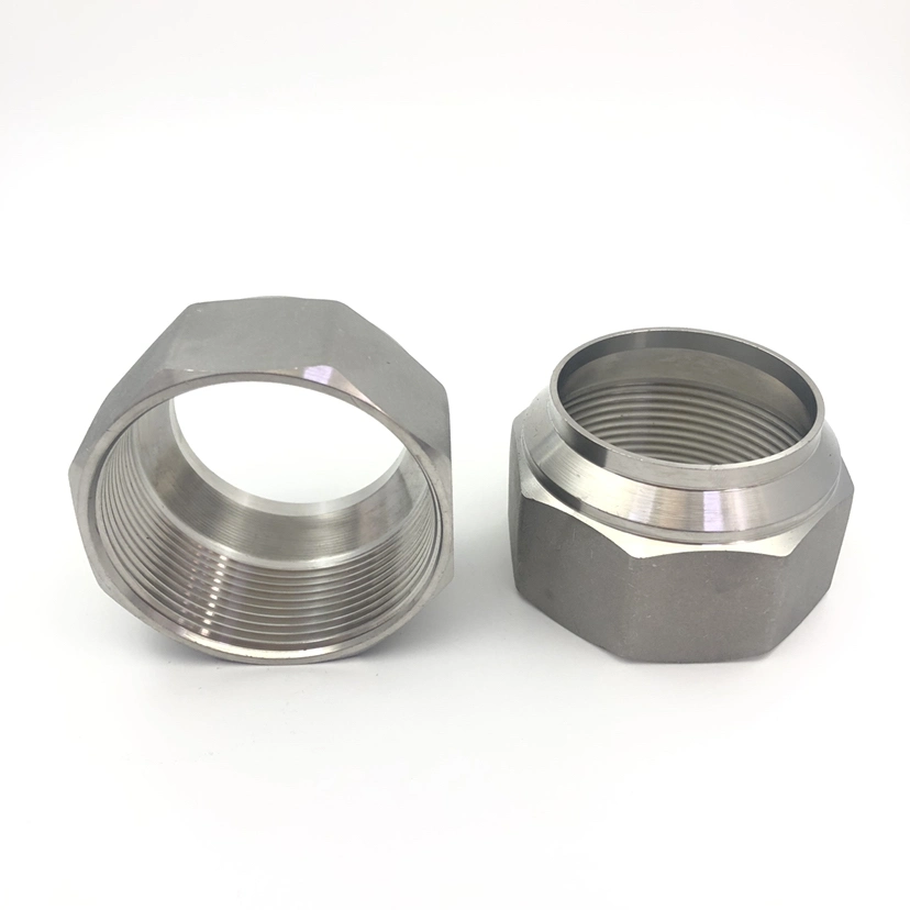 Forging Pipe Fitting Stainless Steel Ss 304 316L Female Thread BPS NPT Hexagon Nipple