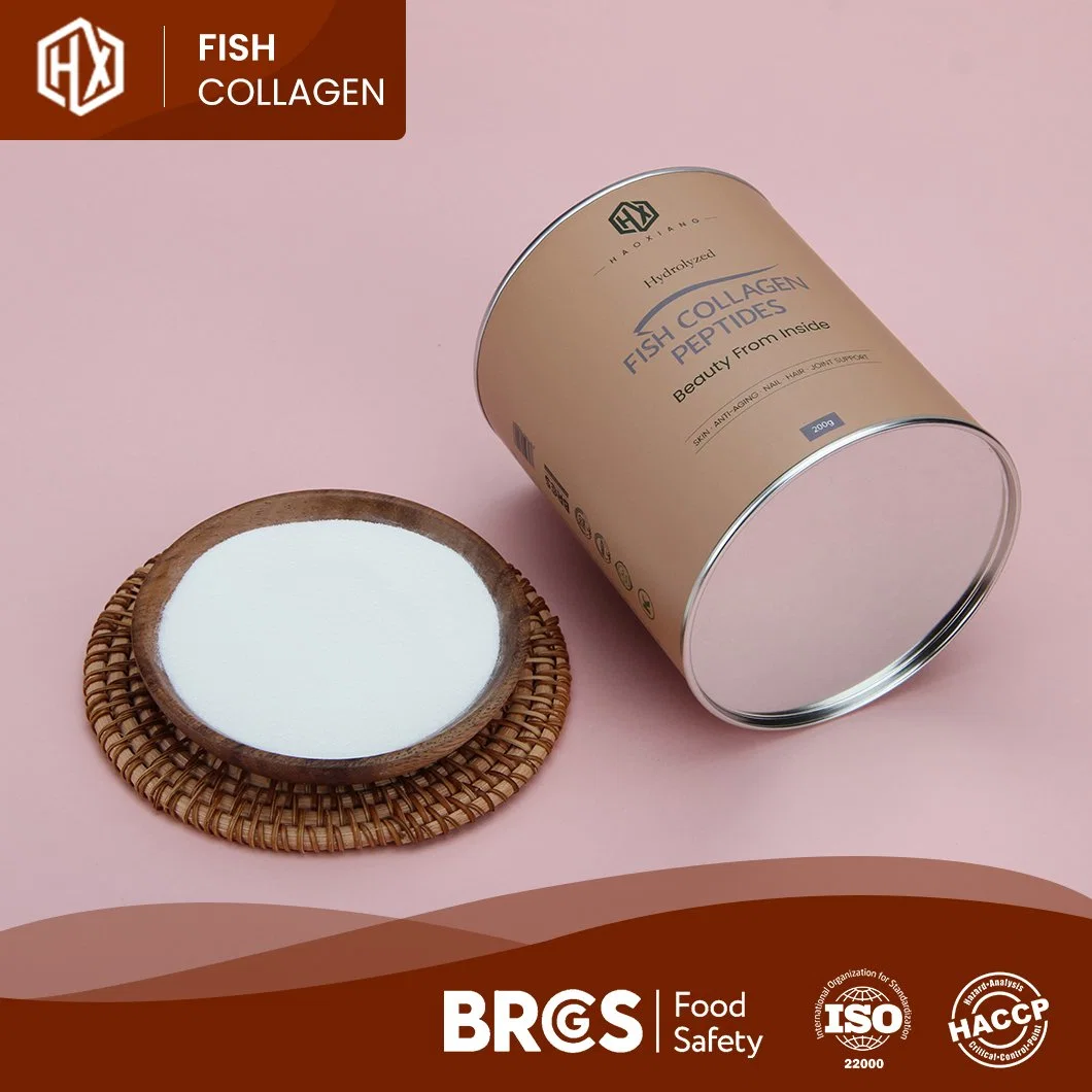 Haoxiang Fish Original Collagen Powder Supplier Supplement Vital Proteins Fish Collagen Beauty 500-1000dal/300-500dal Molecular Weight Tilapia Scale Collagen