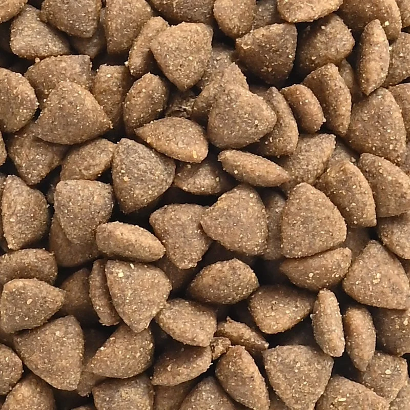 Mayorista/Proveedor de alta calidad de comida para perros natural orgánico a granel