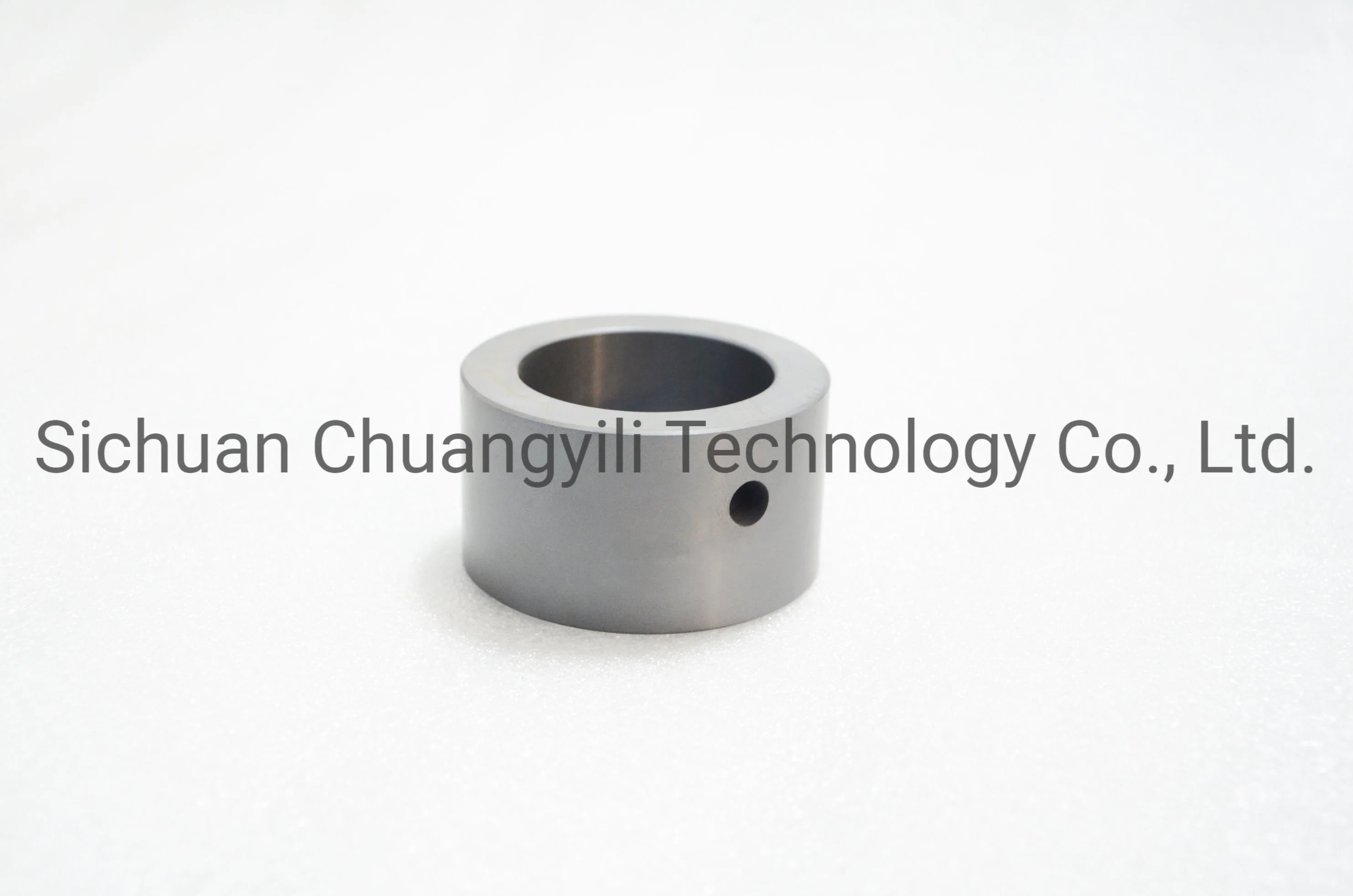 Ssic+C Ceramic Sealing O-Ring Anti Corrosion High-Temperature for Pump