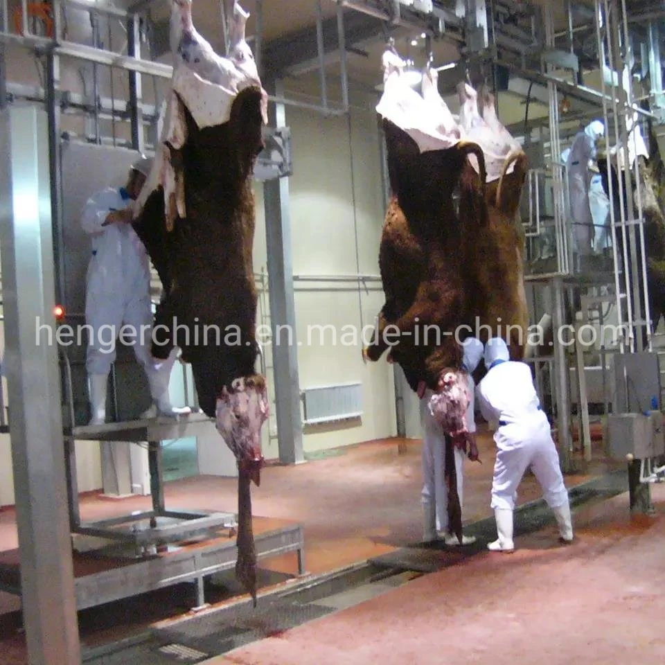 One-Stop Slaughter House Project Supplier Slaughtering Equipment for Sale