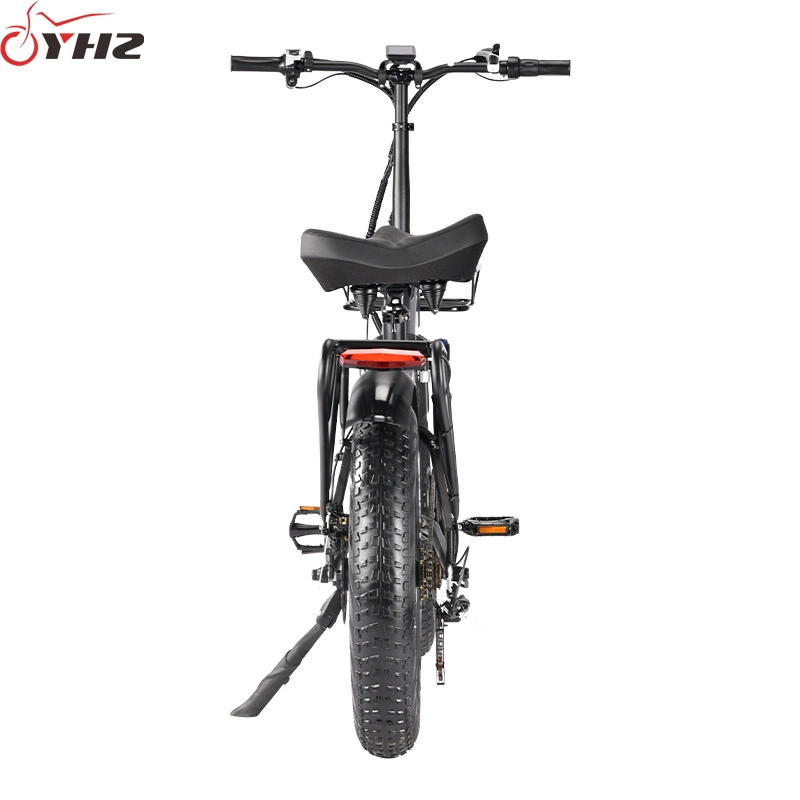 New Modern Adult Electric Bicycle 48V 750W Foldable Dirt Bike