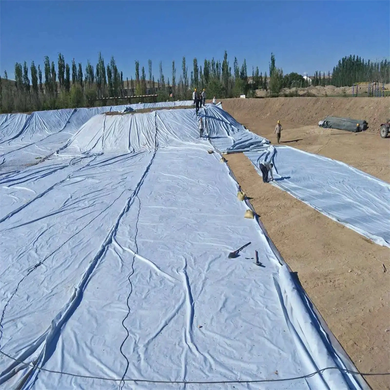 Reinforced Waterproof Geotextile Liner Composite Compound Geomembrane with Nonwoven Geotextile