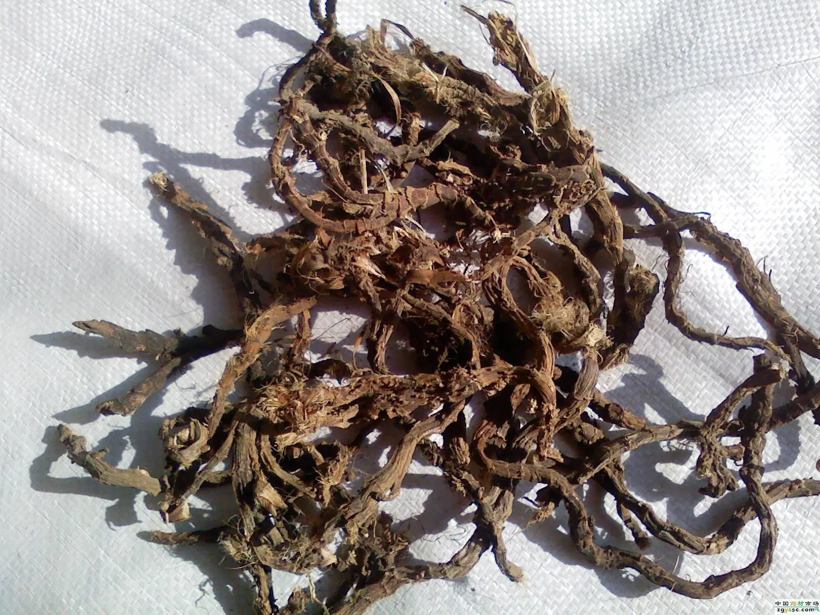 Татаринову Sweetflag Rhizome Extract Acorus Calamus Root Chinese Herb Medicine